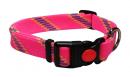 Pet Collar, Leash *BF-12001*