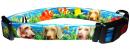 Doggy Collar *C-11017C*